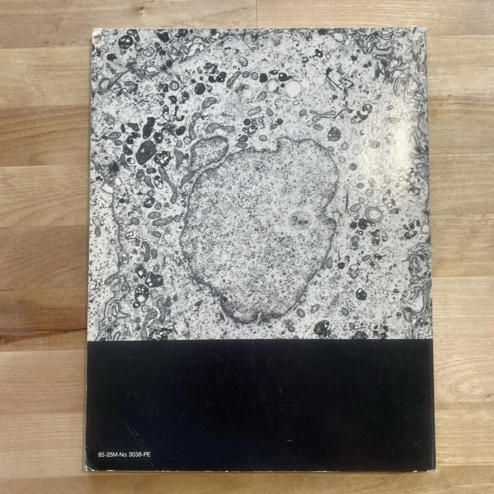 Oral‎ Cancer by Sol Silverman Jr 1985 American Cancer Society Second Edition